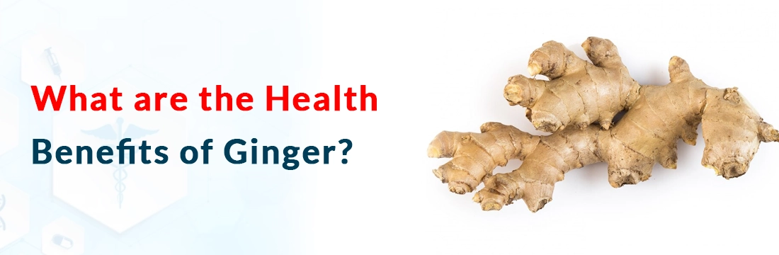  What are the Health Benefits of Ginger?